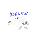 三毛猫ミカたんの日常（個別スタンプ：7）