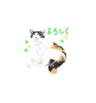 三毛猫ミカたんの日常（個別スタンプ：9）