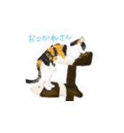 三毛猫ミカたんの日常（個別スタンプ：11）