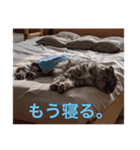 みやっちスタンプ（個別スタンプ：5）