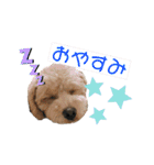 ココゆず（個別スタンプ：3）