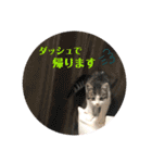 ココゆず（個別スタンプ：6）