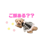 ココゆず（個別スタンプ：8）