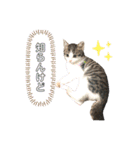 ココゆず（個別スタンプ：10）