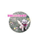 ココゆず（個別スタンプ：13）