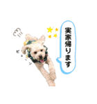 ココゆず（個別スタンプ：14）