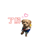 ココゆず（個別スタンプ：15）