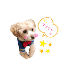 ココゆず（個別スタンプ：21）