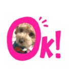ココゆず（個別スタンプ：32）