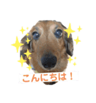 Team LKCとダーフィ（個別スタンプ：7）