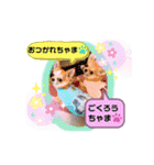 チワワ兄妹犬イブ＆ルイ（個別スタンプ：6）