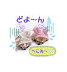 チワワ兄妹犬イブ＆ルイ（個別スタンプ：22）
