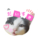 SuzukiFamilyのアイドル達②（個別スタンプ：1）