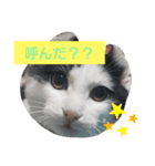 SuzukiFamilyのアイドル達②（個別スタンプ：4）