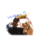 ベティー 日常会話スタンプ（個別スタンプ：3）