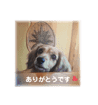ベティー 日常会話スタンプ（個別スタンプ：14）