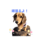 ベティー 日常会話スタンプ（個別スタンプ：21）