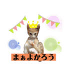 ネコのミルちゃん（個別スタンプ：3）