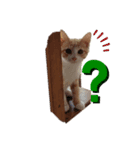 ネコのミルちゃん（個別スタンプ：8）