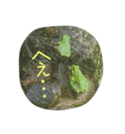 かえるパラダイス（個別スタンプ：6）