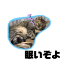runa roi boss neko（個別スタンプ：2）