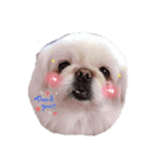 ししまるU・x・U（個別スタンプ：1）