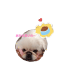 ししまるU・x・U（個別スタンプ：2）