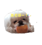 ししまるU・x・U（個別スタンプ：3）