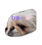 ししまるU・x・U（個別スタンプ：5）