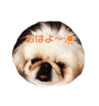 ししまるU・x・U（個別スタンプ：6）