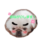 ししまるU・x・U（個別スタンプ：7）