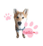 やんちゃボーイ あべのりょう（個別スタンプ：1）