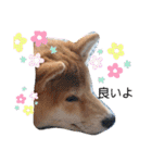 やんちゃボーイ あべのりょう（個別スタンプ：2）