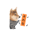 やんちゃボーイ あべのりょう（個別スタンプ：3）