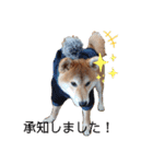 やんちゃボーイ あべのりょう（個別スタンプ：5）