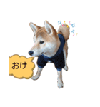 やんちゃボーイ あべのりょう（個別スタンプ：6）