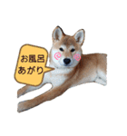 やんちゃボーイ あべのりょう（個別スタンプ：8）
