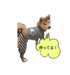 やんちゃボーイ あべのりょう（個別スタンプ：9）