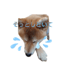 やんちゃボーイ あべのりょう（個別スタンプ：12）