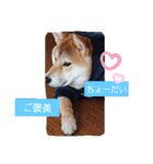やんちゃボーイ あべのりょう（個別スタンプ：13）