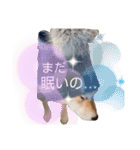 やんちゃボーイ あべのりょう（個別スタンプ：14）