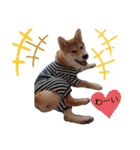 やんちゃボーイ あべのりょう（個別スタンプ：20）