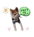 やんちゃボーイ あべのりょう（個別スタンプ：24）