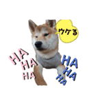 やんちゃボーイ あべのりょう（個別スタンプ：27）