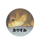 やんちゃボーイ あべのりょう（個別スタンプ：31）