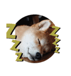 やんちゃボーイ あべのりょう（個別スタンプ：32）