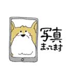 おしゃべりなくるみ。（個別スタンプ：14）
