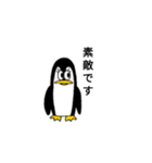 二頭身ペンギン（個別スタンプ：13）