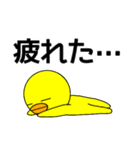 ぴよぴよのオッペケペー（個別スタンプ：13）