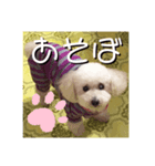 ・・・笑（個別スタンプ：4）